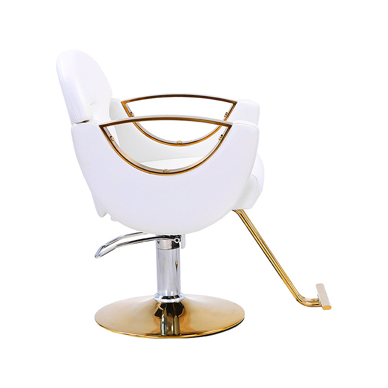 كرسي صالون تصفيف خفيف الوزن HZ8765BZ / HZ8765WZ / HZ8765PZ / HZ8765Z