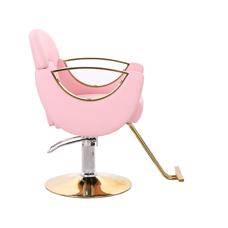 كرسي صالون تصفيف خفيف الوزن HZ8765BZ / HZ8765WZ / HZ8765PZ / HZ8765Z