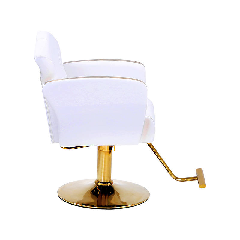 كراسي تصفيف الشعر HZ8808 / HZ8808W Auty salon